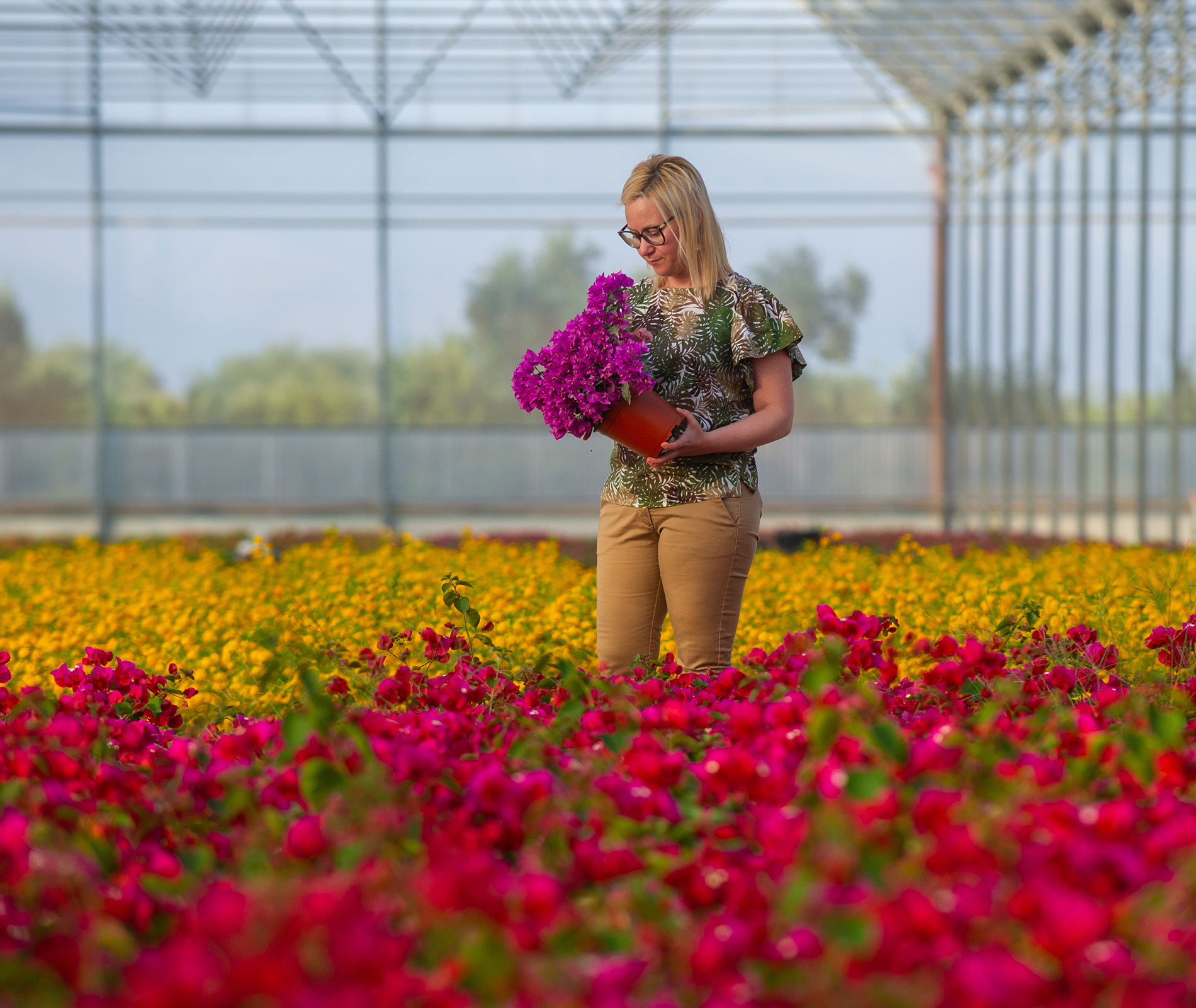 Choose best flowers to export from italy