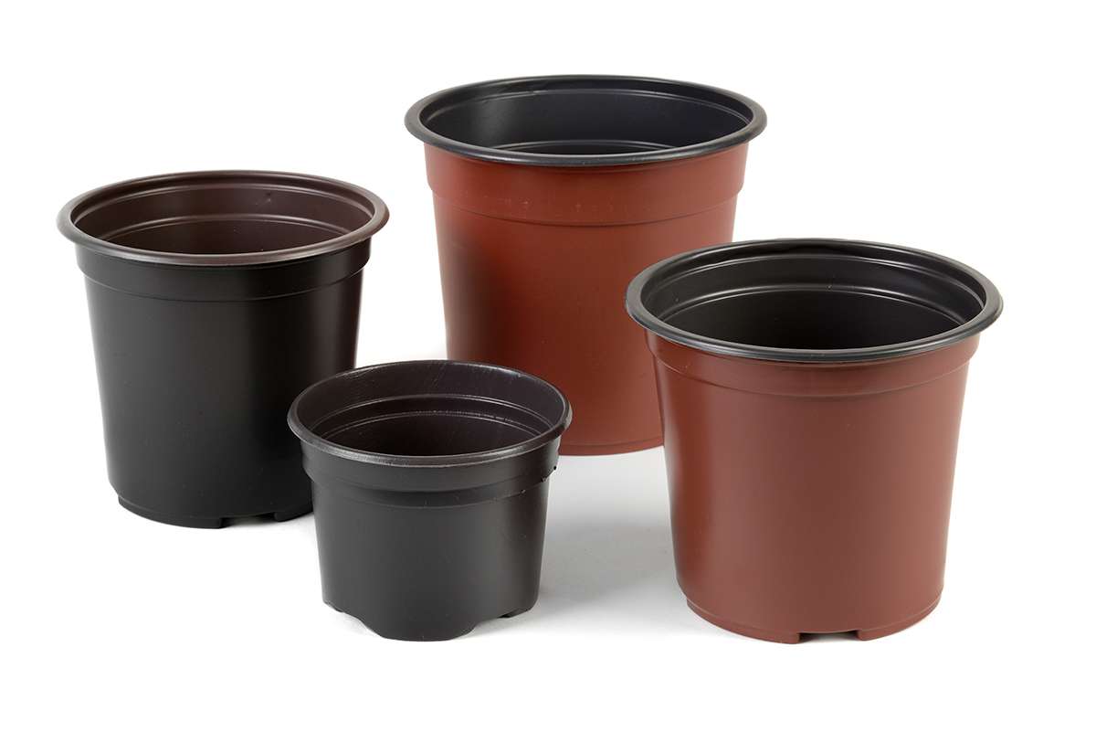 Pots for plants and flowers - 1